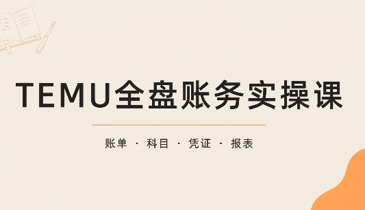TEMU全盘账务实操课:账单导出、科目设置、利润核算-皮皮网创