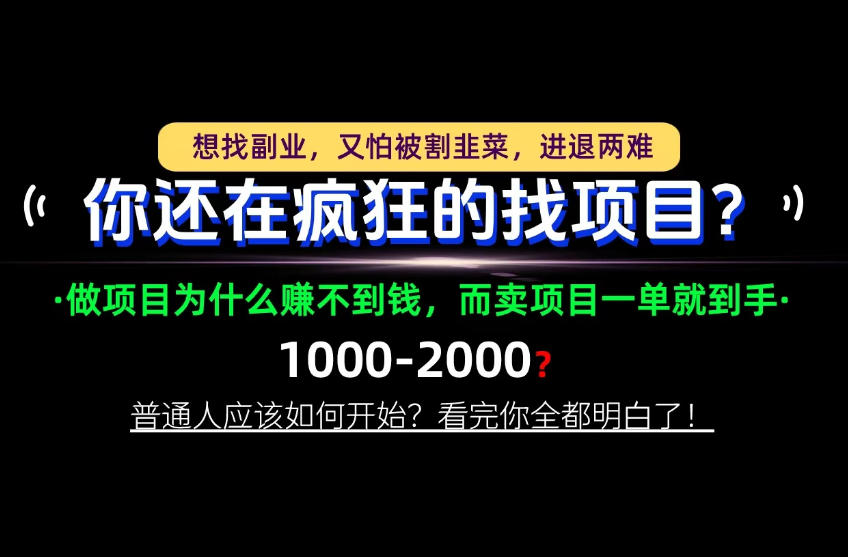 你还在疯狂的找项目？别傻了！卖项目才是真正的一本万利！怎么做，看完你全都明白！【揭秘】-皮皮网创
