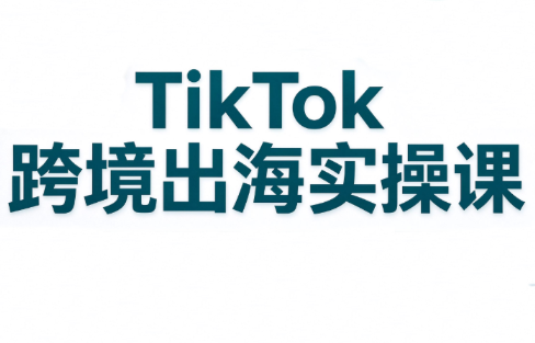 彭老师·TikTok跨境出海实操课-皮皮网创
