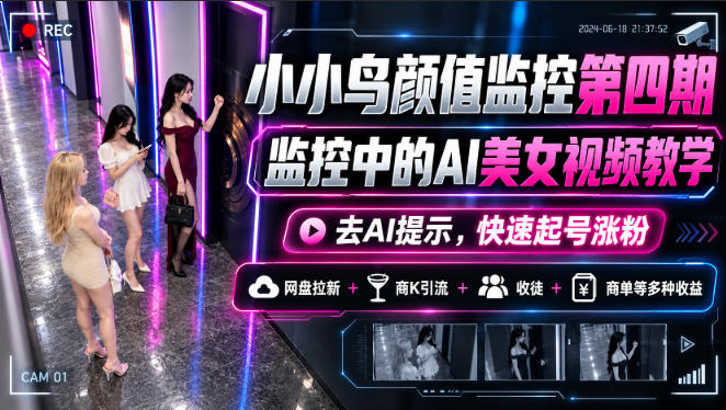 小小鸟颜值监控第四期,监控中的AI美女视频教学,去AI提示,快速起号涨粉,网盘拉新+商K引流+收徒+商单等多种收益-皮皮网创