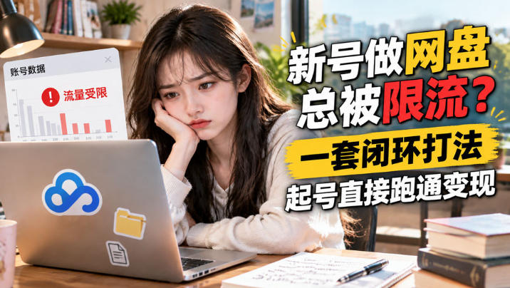 网盘拉新SOP：小白新号过限流-皮皮网创