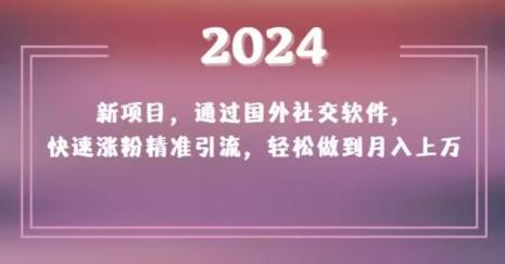 2024新项目，通过国外社交软件，快速涨粉精准引流，轻松做到月入上万【揭秘】-皮皮网创
