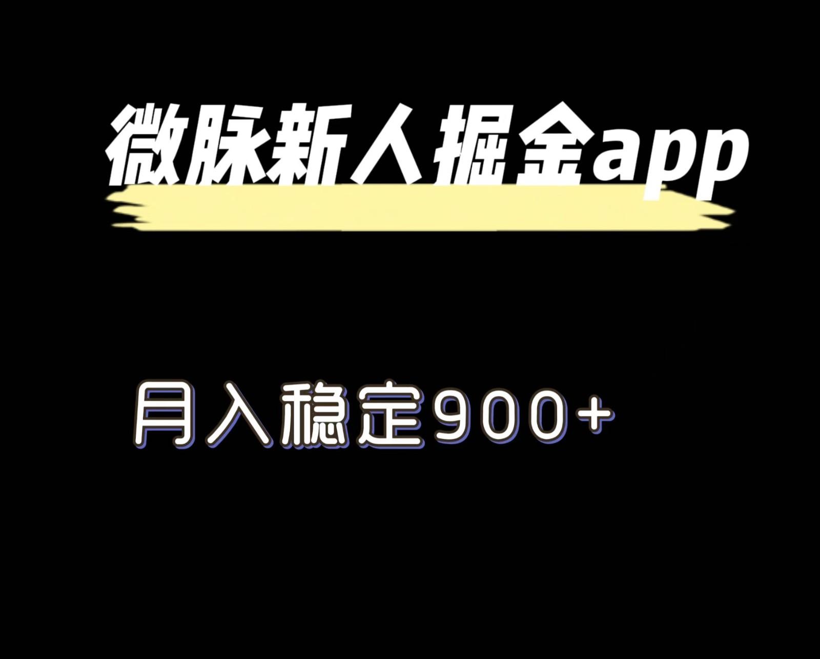 最新微脉长久项目，拉新掘金，月入稳定900+-皮皮网创