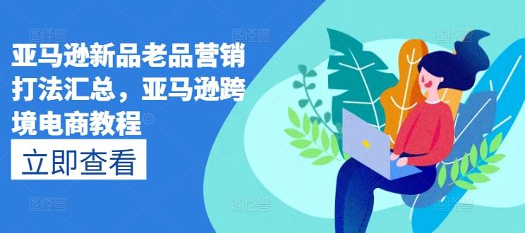 亚马逊新品老品营销打法汇总，亚马逊跨境电商教程-皮皮网创