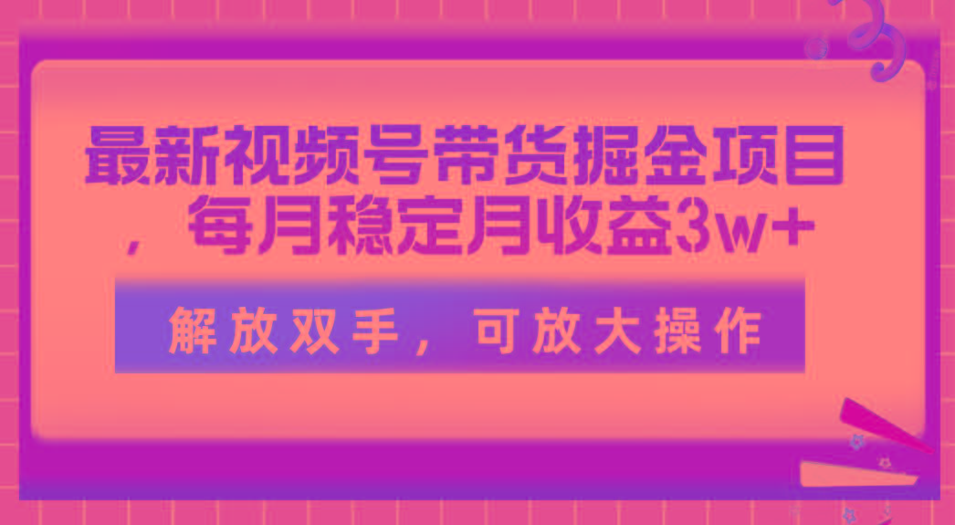 最新视频号带货掘金项目，每月稳定月收益3w+，解放双手，可放大操作-皮皮网创