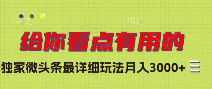 独家微头条最详细玩法，月入3000+【揭秘】-皮皮网创