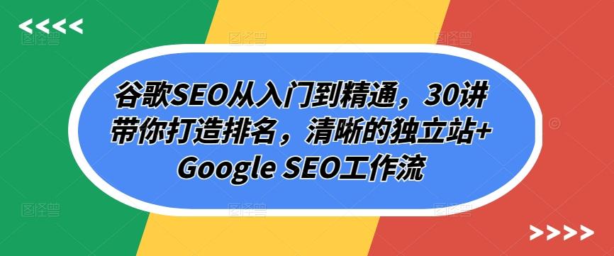 谷歌SEO从入门到精通，30讲带你打造排名，清晰的独立站+Google SEO工作流-皮皮网创