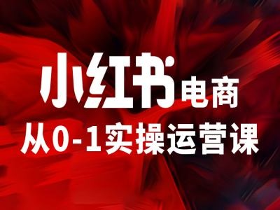 小红书电商从0-1实操运营课，让你从小白到精英-皮皮网创