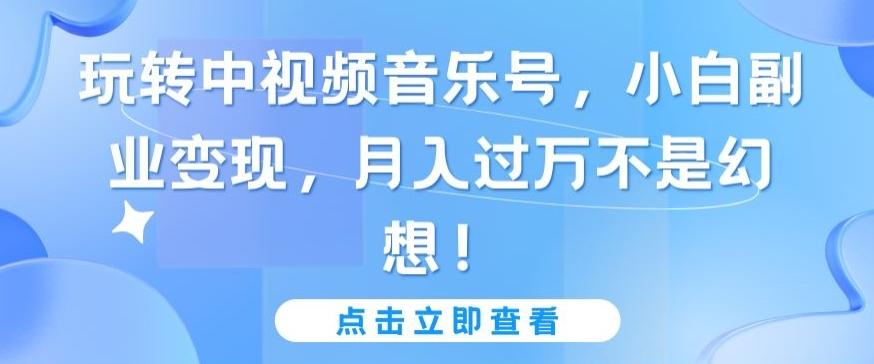 玩转中视频音乐号，小白副业变现，月入过万不是幻想【揭秘】-皮皮网创