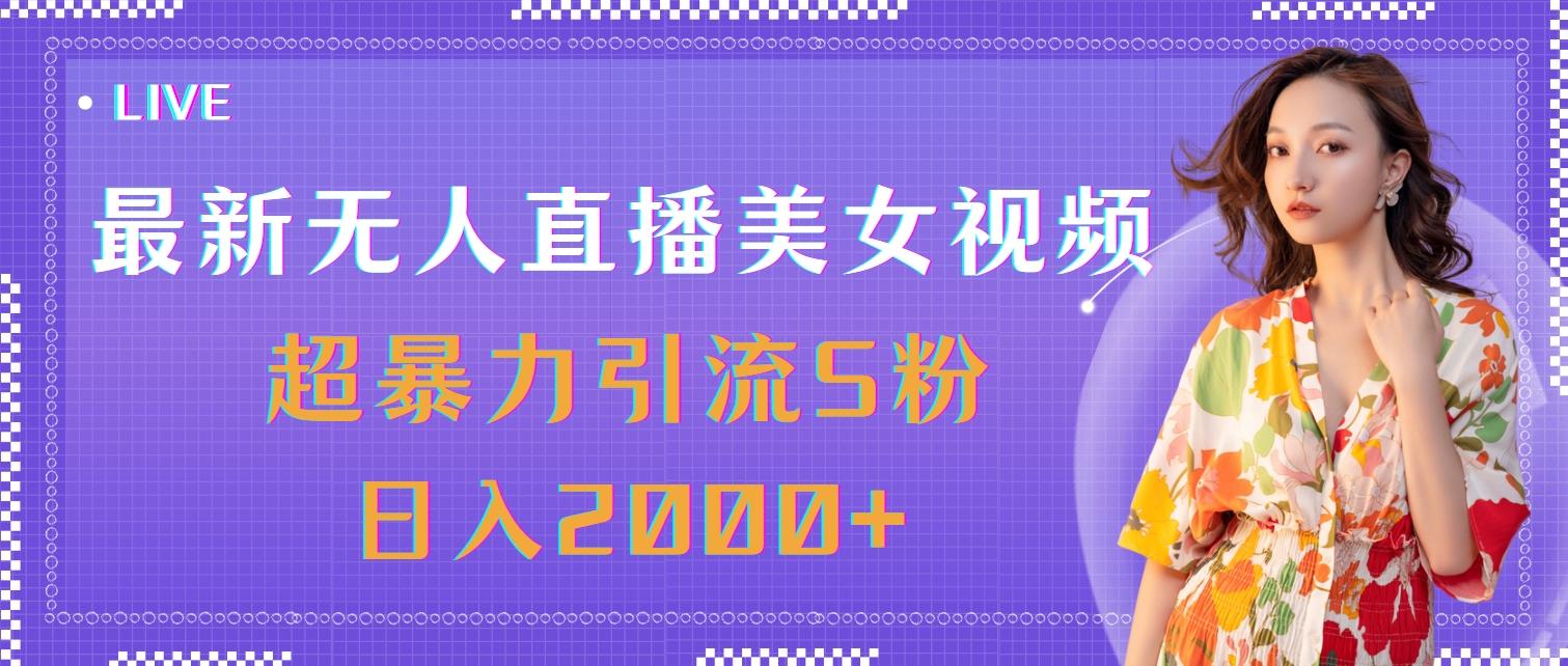最新无人直播美女视频，超暴力引流S粉日入2000+-皮皮网创