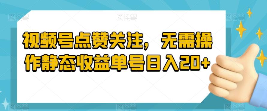 视频号点赞关注，无需操作静态收益单号日入20+-皮皮网创