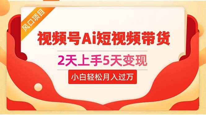 2天上手5天变现视频号Ai短视频带货0粉丝0基础小白轻松月入过万-皮皮网创