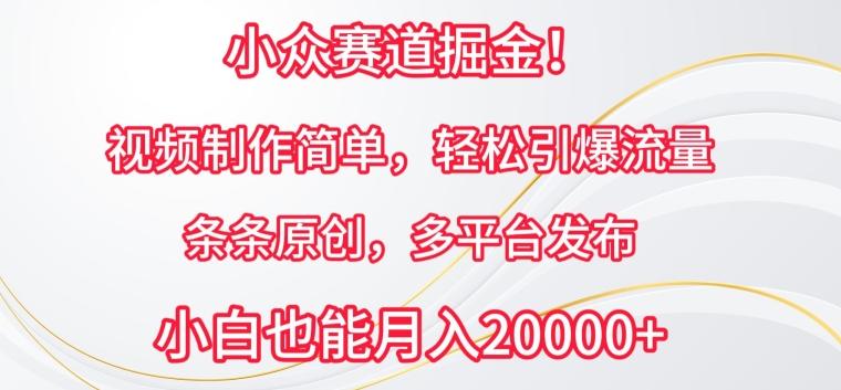 小众赛道掘金，视频制作简单，轻松引爆流量，条条原创，多平台发布【揭秘】-皮皮网创