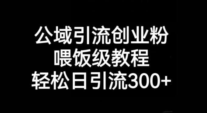 公域引流创业粉，喂饭级教程，轻松日引流300+【揭秘】-皮皮网创
