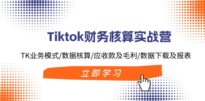 Tiktok财务核算实战营：TK业务模式/数据核算/应收款及毛利/数据下载及报表-皮皮网创