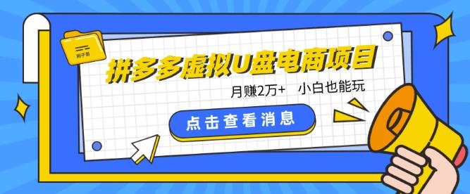 拼多多虚拟U盘电商红利项目：月赚2万+，新手小白也能玩-皮皮网创