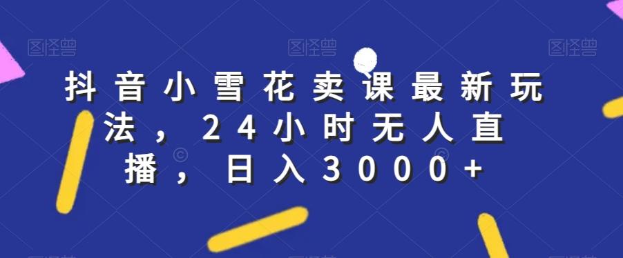 抖音小雪花卖课最新玩法，24小时无人直播，日入3000+【揭秘】-皮皮网创