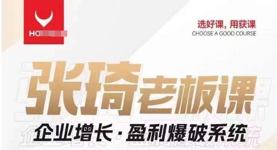 【组合课】张琦张琦老板企业增长·盈利爆破系统（直播专享）-皮皮网创