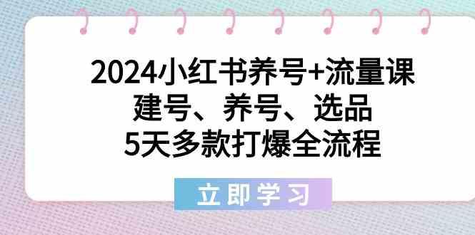 2024小红书养号+流量课：建号、养号、选品，5天多款打爆全流程-皮皮网创