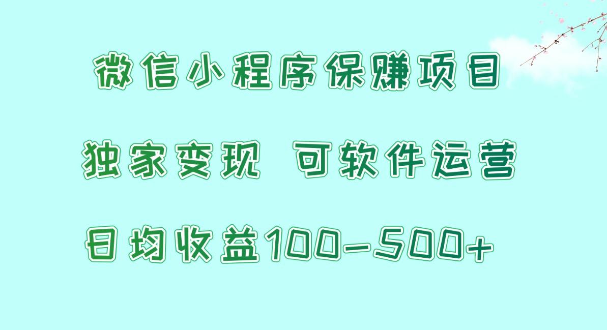 微信小程序保赚项目，日均收益100~500+，独家变现，可软件运营-皮皮网创