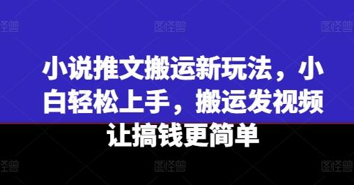 小说推文搬运新玩法，小白轻松上手，搬运发视频让搞钱更简单-皮皮网创