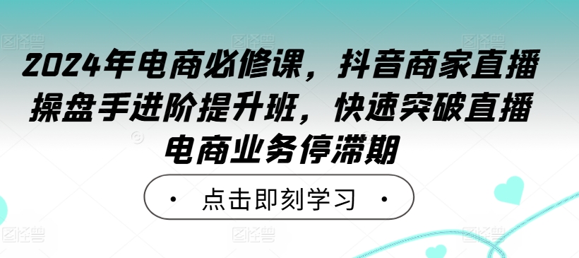 2024年电商必修课，抖音商家直播操盘手进阶提升班，快速突破直播电商业务停滞期-皮皮网创