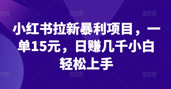 小红书拉新暴利项目，一单15元，日赚几千小白轻松上手【揭秘】-皮皮网创