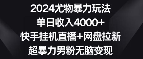 2024尤物暴力玩法，单日收入4000+，快手挂机直播+网盘拉新，超暴力男粉无脑变现【揭秘】-皮皮网创