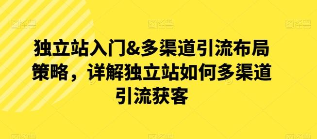 独立站入门&多渠道引流布局策略，详解独立站如何多渠道引流获客-皮皮网创