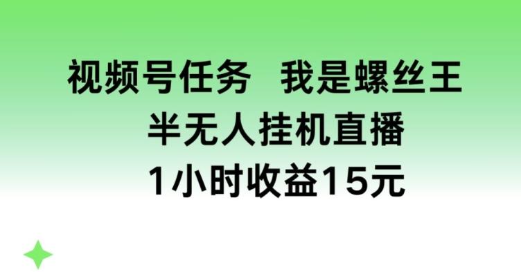 视频号任务，我是螺丝王， 半无人挂机1小时收益15元【揭秘】-皮皮网创