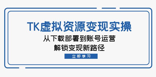 TK虚拟资料变现实操：从下载部署到账号运营，解锁变现新路径-皮皮网创