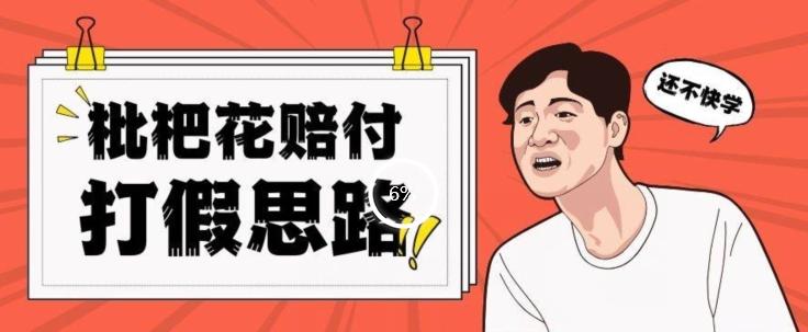 最新打假原料枇杷花赔付玩法一单收益1000+小白轻松下车【详细视频玩法教程】【仅揭秘】-皮皮网创
