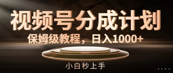 视频号分成计划保姆级教程，日入1K，小白秒上手【揭秘】-皮皮网创