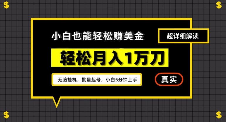 谷歌看广告撸美金2.0，无脑挂机，多号操作，月入1万刀【揭秘】-皮皮网创
