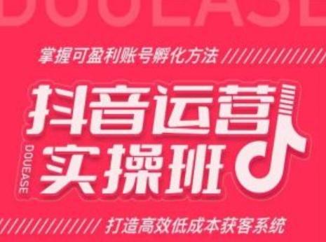 抖音运营实操班，掌握可盈利账号孵化方法，打造高效低成本获客系统-皮皮网创