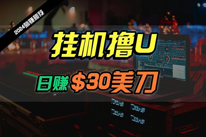 (10013期)日赚30美刀，2024最新海外挂机撸U内部项目，全程无人值守，可批量放大-皮皮网创