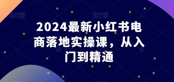 2024最新小红书电商落地实操课，从入门到精通-皮皮网创