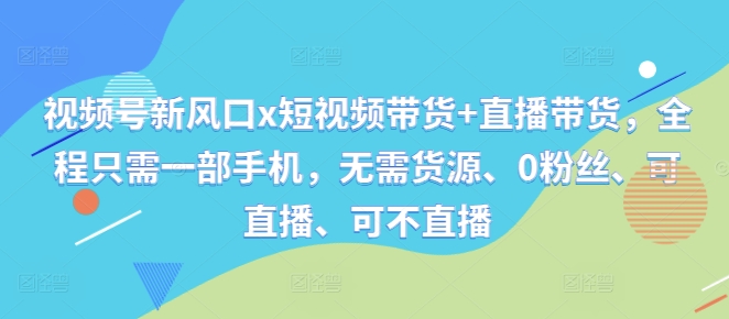视频号新风口x短视频带货+直播带货，全程只需一部手机，无需货源、0粉丝、可直播、可不直播-皮皮网创