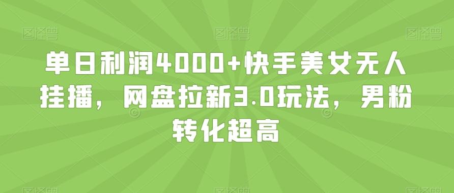 单日利润4000+快手美女无人挂播，网盘拉新3.0玩法，男粉转化超高【揭秘】-皮皮网创
