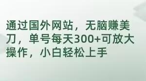通过国外网站，无脑赚美刀，单号每天300+可放大操作，小白轻松上手【揭秘】-皮皮网创