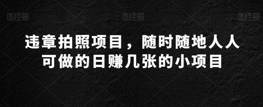 违章拍照项目，随时随地人人可做的日赚几张的小项目-皮皮网创