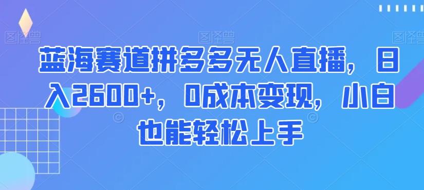 蓝海赛道拼多多无人直播，日入2600+，0成本变现，小白也能轻松上手【揭秘】-皮皮网创