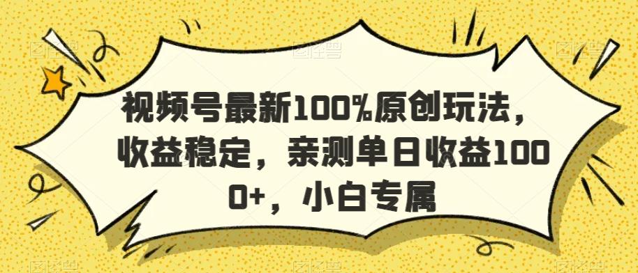 视频号最新100%原创玩法，收益稳定，亲测单日收益1000+，小白专属【揭秘】-皮皮网创