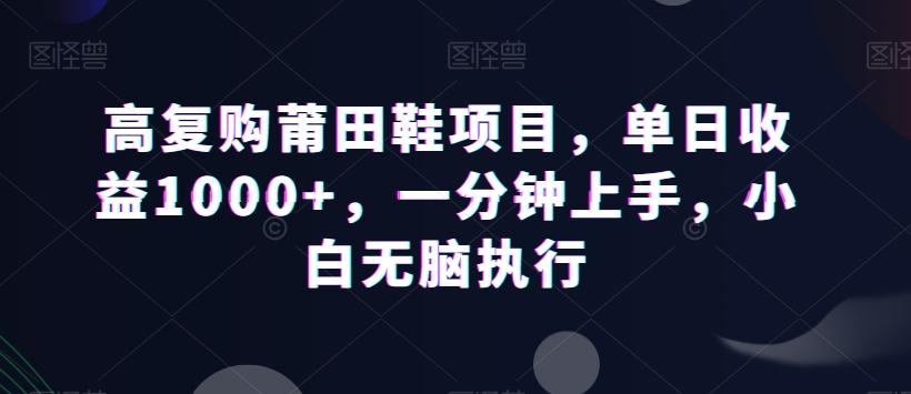 高复购莆田鞋项目，单日收益1000+，一分钟上手，小白无脑执行-皮皮网创