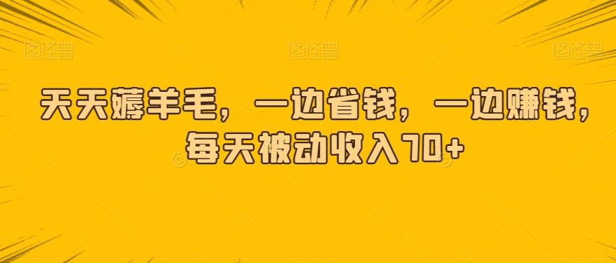 天天薅羊毛，一边省钱，一边赚钱，每天被动收入70+-皮皮网创
