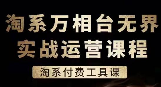 淘系万相台无界实战运营课，淘系付费工具课-皮皮网创