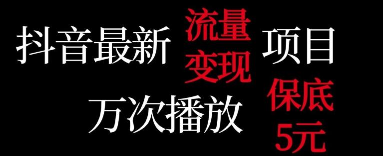 抖音流量变现，万次播放保底5元，额外收入-皮皮网创