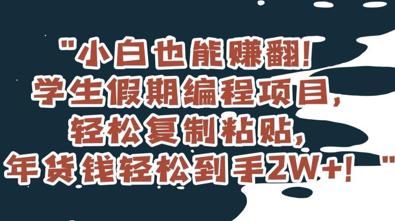 小白也能赚翻！学生假期编程项目，轻松复制粘贴，年货钱轻松到手2W+【揭秘】-皮皮网创