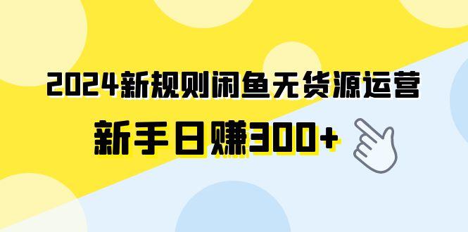 (9522期)2024新规则闲鱼无货源运营新手日赚300+-皮皮网创