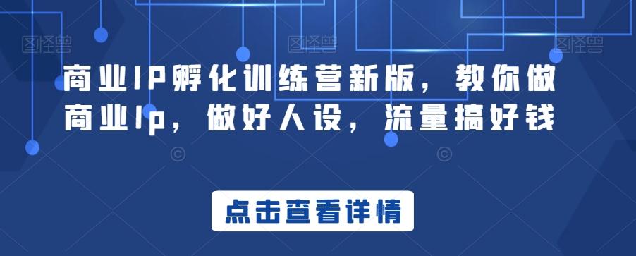 商业IP孵化训练营新版，教你做商业Ip，做好人设，流量搞好钱-皮皮网创